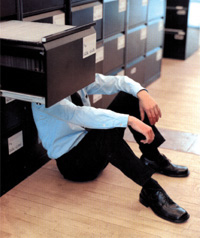 Software empresarial