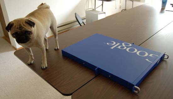 Ingram venderá en Europa los dispositivos de búsqueda de información de Google