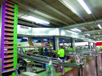 Marqués Consulting mejora la gestión y el seguimiento de la producción de la cooperativa agraria.