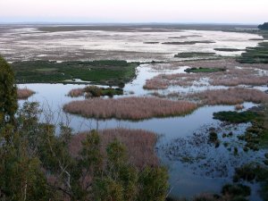 Satec mejora la observación científica en la Reserva de Doñana