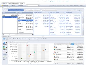 SAP Business Objects Explorer