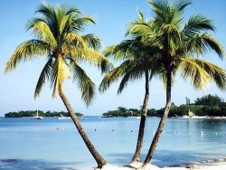 Kaspersky premiará a sus mejores 'partners' con una semana en el Caribe