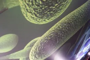 Redes sociales, objetivo principal del ‘malware’ en noviembre