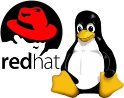Red Hat aumenta sus ingresos por suscripciones