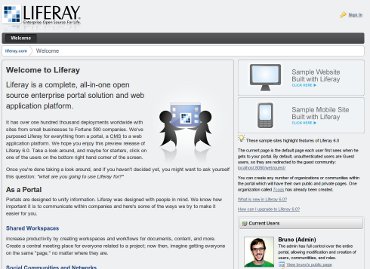 Liferay Portal 6