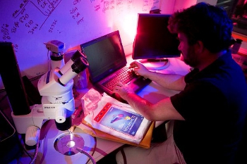 La BSA detecta en una empresa gallega software ilegal por valor de 130.000 euros