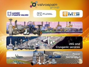 Valvospain