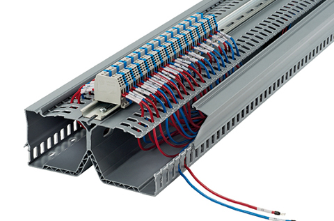 Cableado de Panduit.