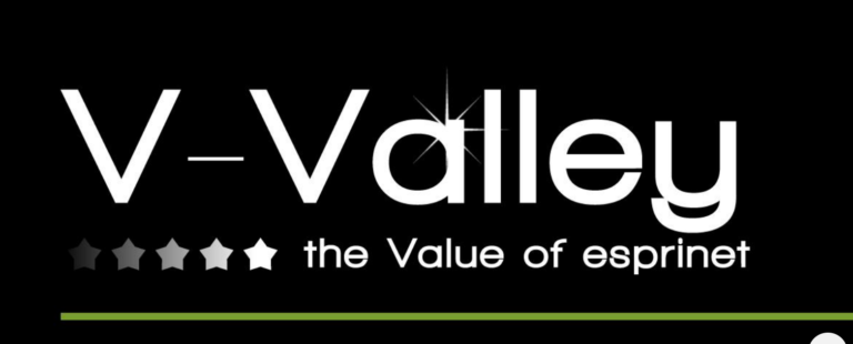 V-Valley Europa va a por todas en el negocio de valor