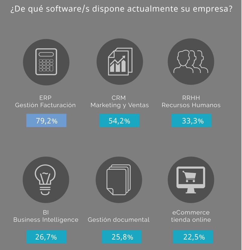 Fuente: SoftDoit 2019 (sobre una base de 120 empresas). 